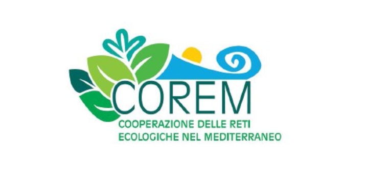 Logo COREM