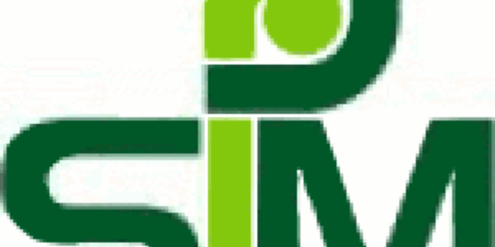 Logo SIM
