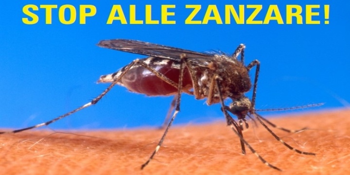 Locandina "stop alle zanzare"