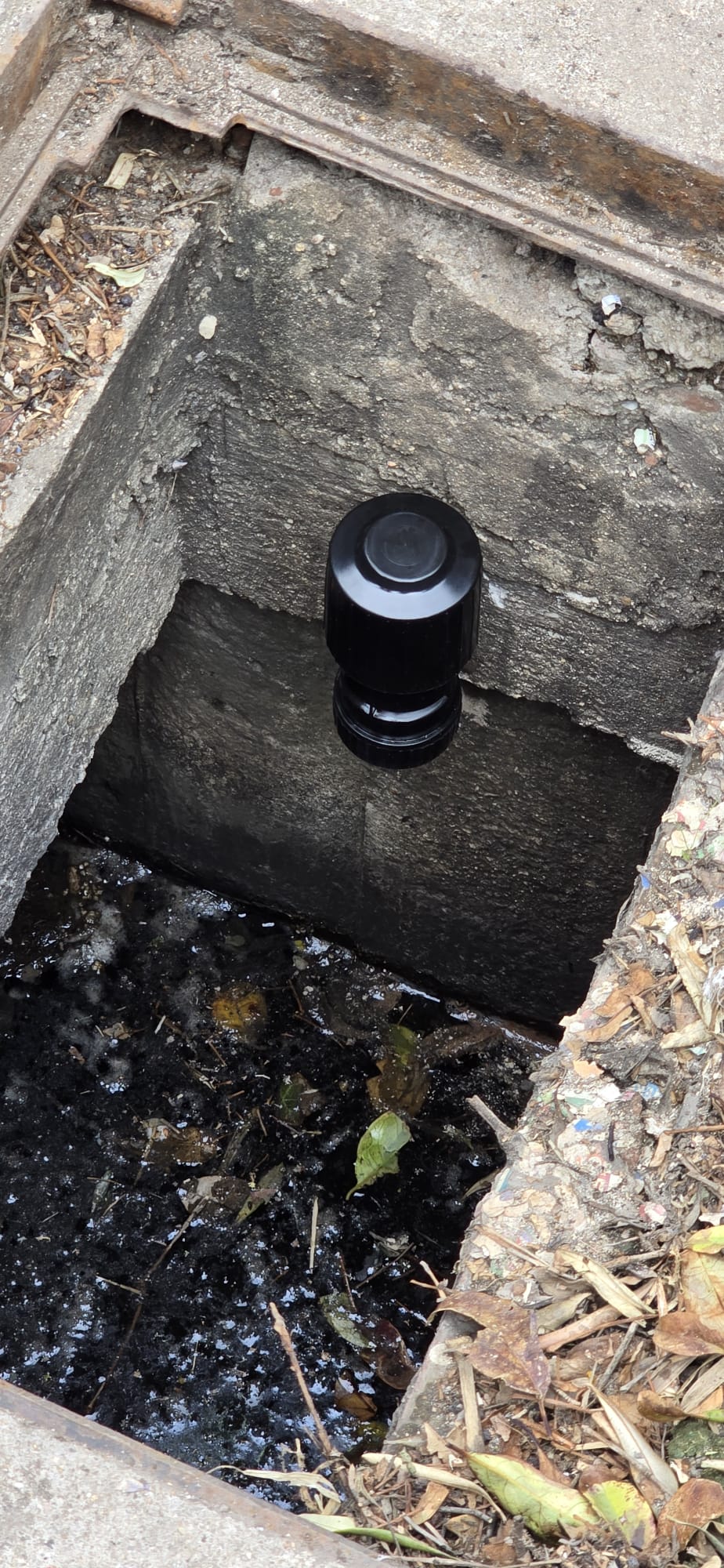 Sistema di rilascio continuo